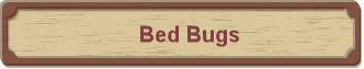 Bed Bugs